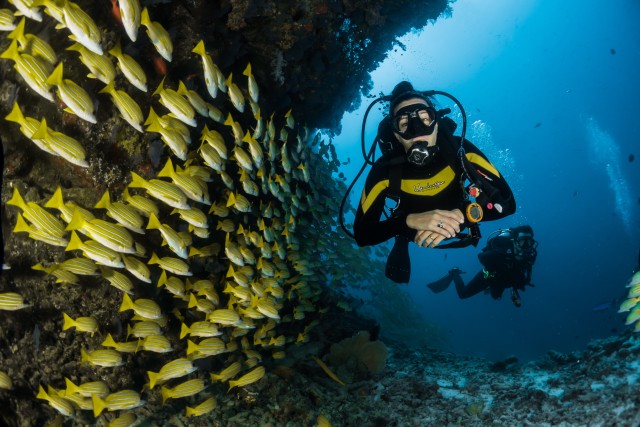 Visit DSD Discover Scuba Diving for a beginner or Certified in Aqaba, Jordan
