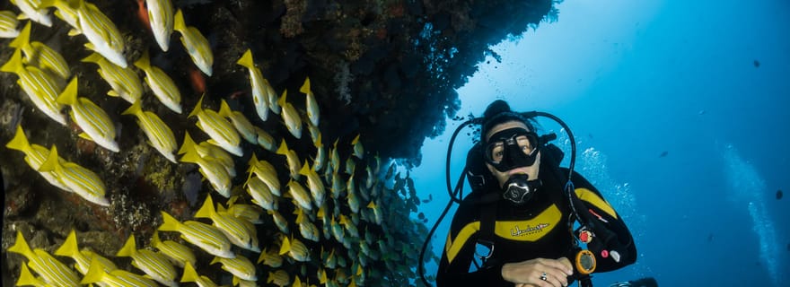 DSD Discover Scuba Diving pour un débutant ou un certifié