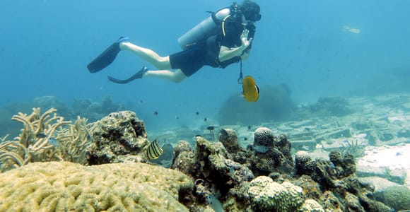 Koh Samui: Day Trip Diving at Sail Rock