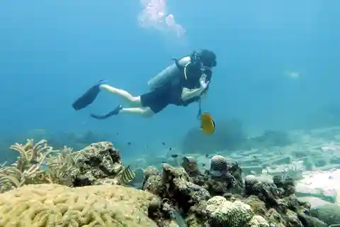 Koh Samui: Viagem de um dia para mergulhar na Sail Rock