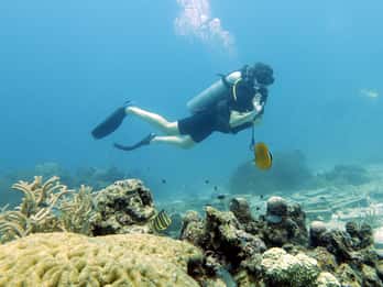 Koh Samui: Day Trip Diving at Sail Rock