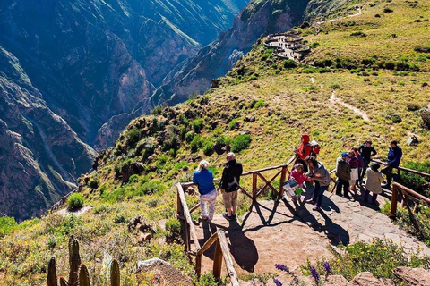 Excursión de 2 días al Cañón del Colca