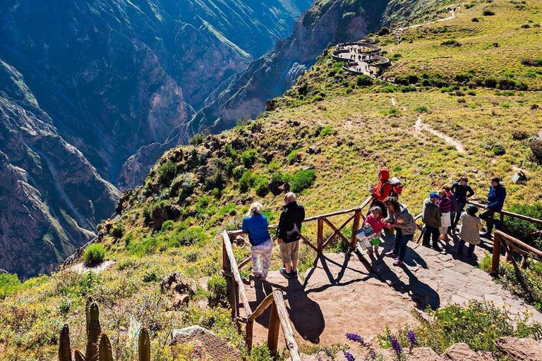 Circuit de 2 jours au Canyon de Colca