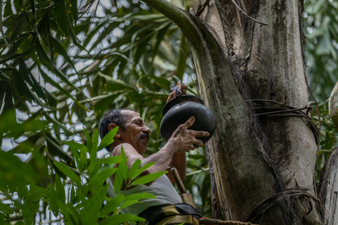 Ella: Traditional Village Life by Jeep with Cooking Class