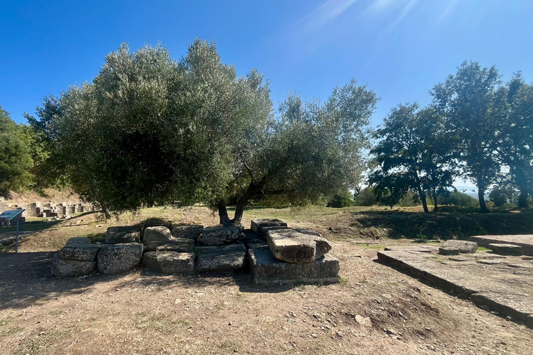 تيرانا: رحلة ليوم واحد إلى أبولونيا وبحيرة كارافاستا مع الغداء