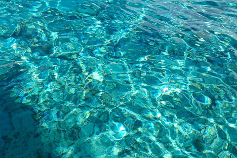 Zanzibar: Mnemba Island & Natural Lagoon Tour Mnemba Island Dolphin Tour & Sea Tortoise Aquarium Tour