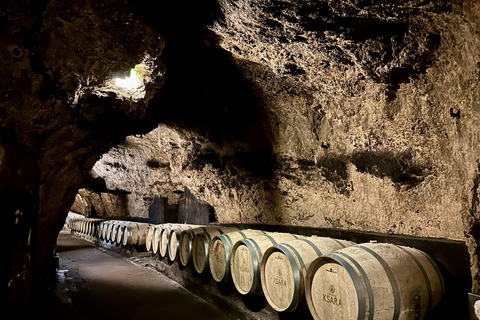 Beirut: Baalbek, Anjar & Ksara Private Tour