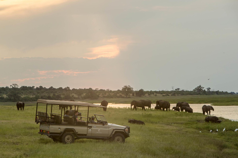 De Victoria Falls a Chobe Safári de dia inteiro estendido