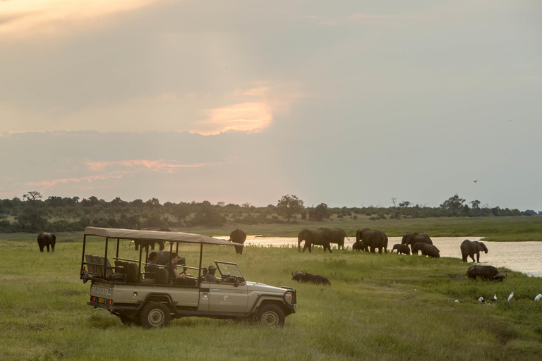 De Victoria Falls Chobe Safari prolongé d&#039;une journée