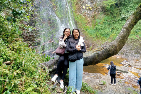 Chauffeured Ride to Silver and Love Waterfall, Lonely Tree