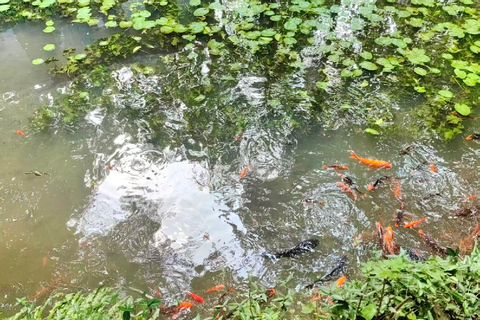 Hangzhou: West Lake Half-Day Tour with Boat Ride