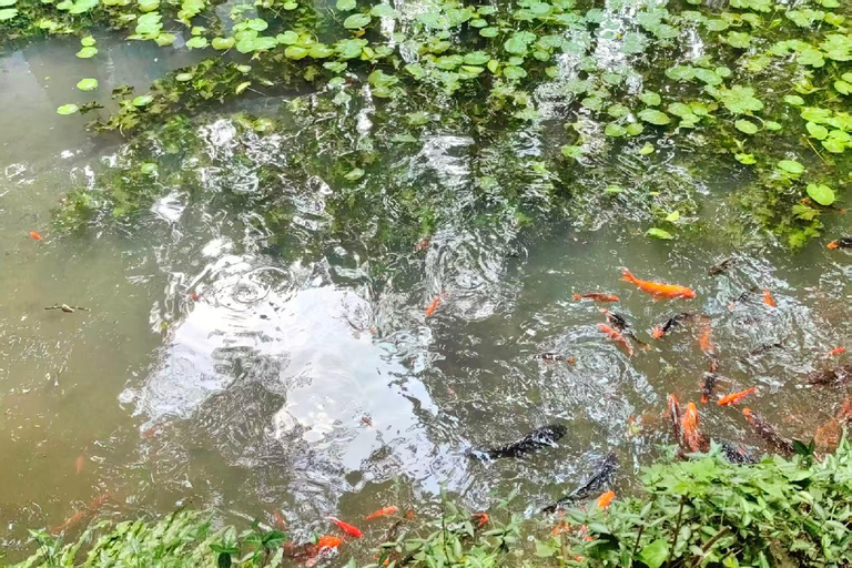 Hangzhou: West Lake Half-Day Tour with Boat Ride