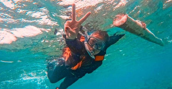 Bohol Dolphin, Balicasag, Pamilacan and Virgin Island Tour