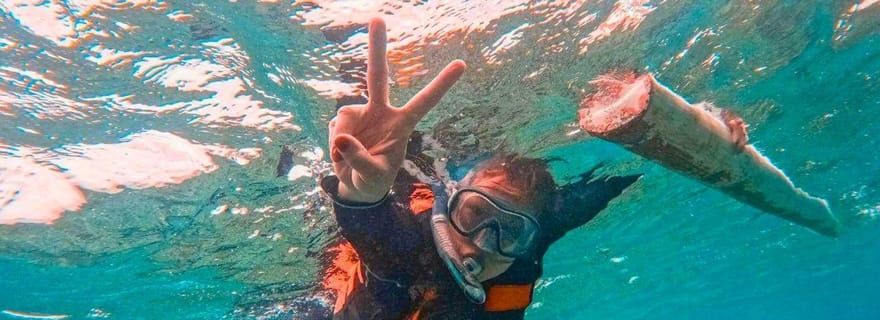 Bohol : observation des dauphins et aller d'île en île à Balicasag