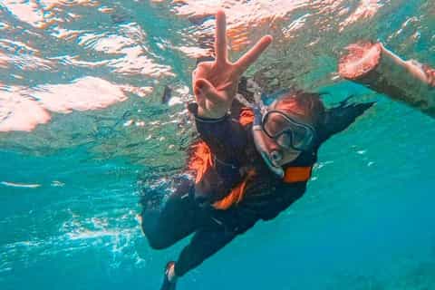 Bohol Dolphin, Balicasag, Pamilacan and Virgin Island Tour - Image 3