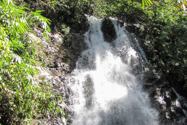 Khao Lak: Rafting, bagno con gli elefanti e tour del centro per le tartarughe marineTour privato