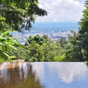 Doi Suthep, Wat Suan Dok and Wat Pha Lat: Evening Monk Chanting Doi Suthep, Wat Suan Dok and Wat Pha Lat: Evening Monk Chanting