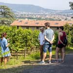 Grumello: tour di degustazione di vini in una storica cantina a conduzione familiare