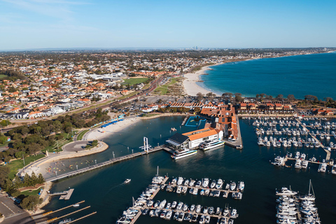 Perth: Whale Watching Cruise from Hillarys Boat Harbour