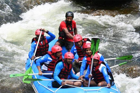 From Kandy: Kithulgala Tuk Tuk Day Tour