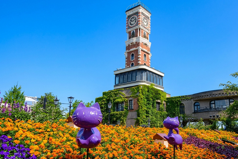 Romantic Day Trip Departing from Otaru, Hokkaido Meet at Exit 31 of Odori Park Subway Station at 8:00 a.m.