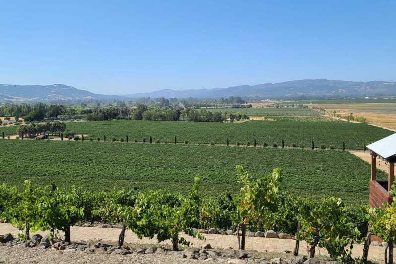 Sonoma County: Half-Day Wine Tour with 2 Tastings Included