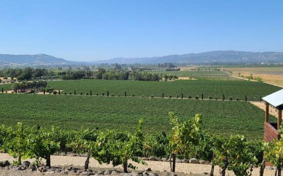 Sonoma County: Halbtägige Weintour