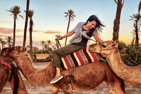 From Agadir: Sunset Camel Ride with BBQ Dinner and Transfers