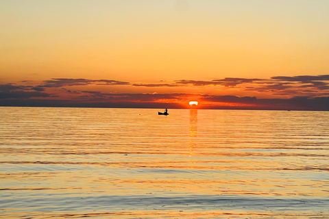 From Djerba/Zarzis: A day-long tour of the island Between Land and Sea: Tour of the Island at Sunset