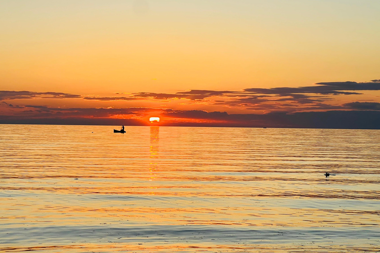 From Djerba/Zarzis: A day-long tour of the island Between Land and Sea: Tour of the Island at Sunset