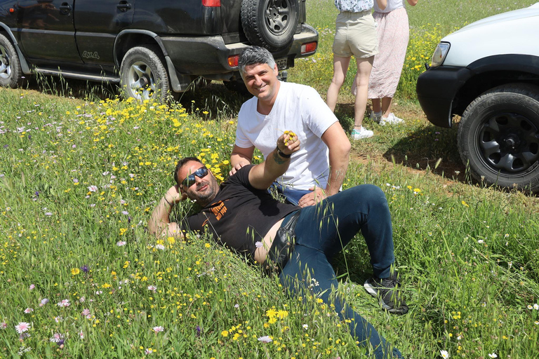 Zante: Jeep Safari esplorazione di un giorno: Mare e terra