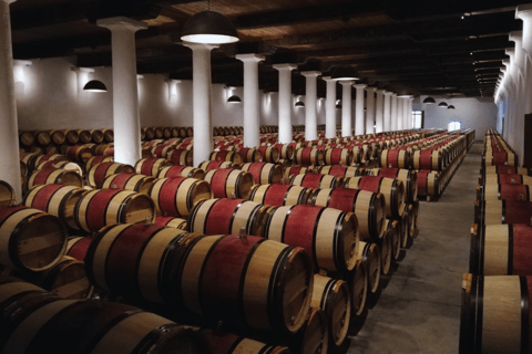 De Bordeaux: Tour guiado de degustação de vinhos em Saint-EmilionDe Bordeaux: Visita guiada a Saint-Emilion para degustação de vinhos