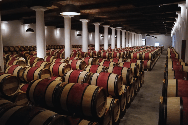 Da Bordeaux: Tour guidato di degustazione dei vini di Saint-Emilion