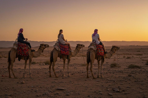 Marrakech: Agafay Wüste Quad &amp; Kamelreiten mit Dinner ShowMarrakesch: Quad- und Kamelritt in der Agafay-Wüste mit Dinner-Show