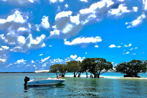 Miami: Biscayne Bay Boat Rental Without Captain