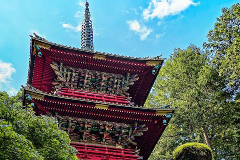 Tokyo: Nikko National Park Private Day Trip with Driver