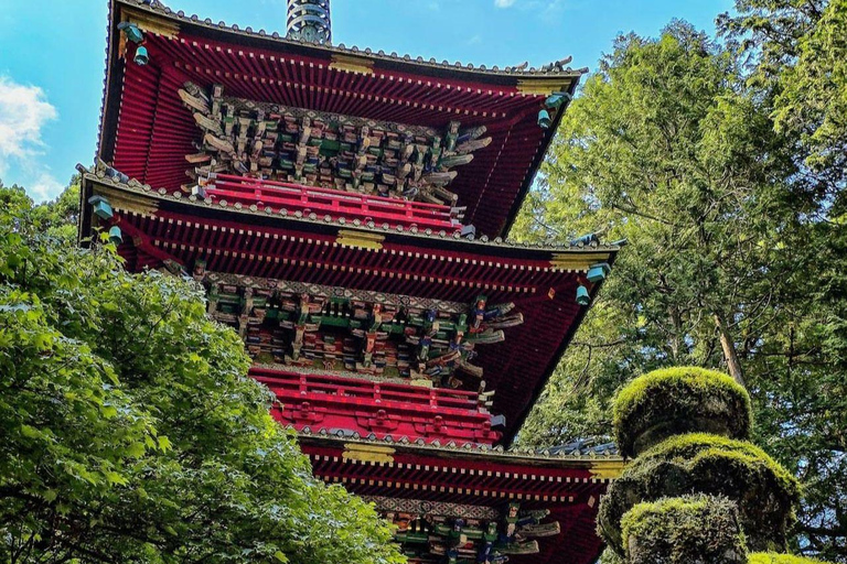 Tokyo: Nikko National Park Private Day Trip with Driver