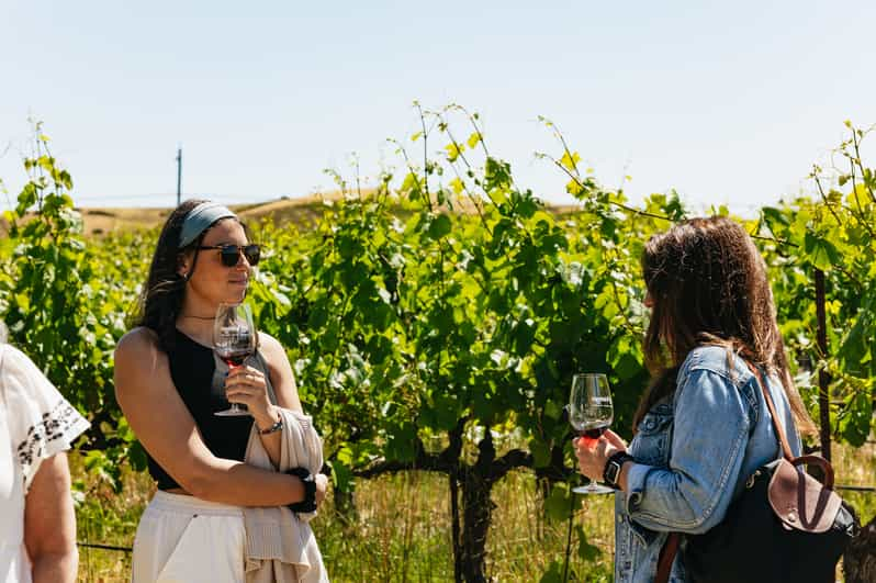 San Francisco: Napa And Sonoma Valley Wine Tour | GetYourGuide