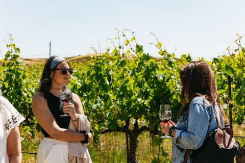 San Francisco: Weintour durch Napa und Sonoma Valley