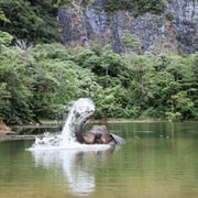 Krabi: Ethical Elephant Sanctuary & Tiger Cave Temple Tour Krabi: Ethical Elephant Sanctuary & Tiger Cave Temple Tour