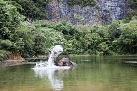 Krabi: Ethical Elephant Sanctuary & Tiger Cave Temple Tour