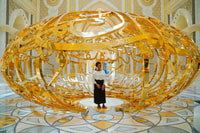 Da Dubai, tour turistico di Abu Dhabi Premium intera - Housity