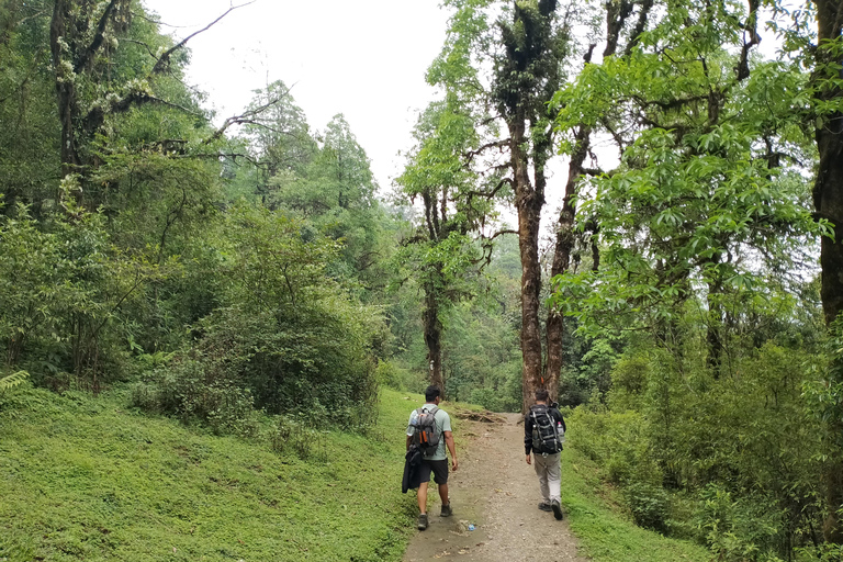 Pokhara: Mardi Himal Trek with Chitwan National Park Tour