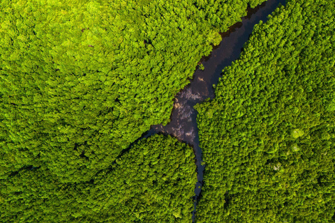 Nakupenda, Prison Island i Jozani Forest - wycieczka z przewodnikiem