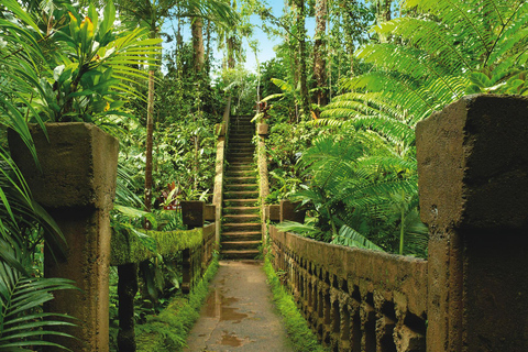 Vanuit Cairns: Dagtrip naar Atherton Tablelands en Paronella Park