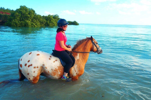 Clear Kayak Tour, Horseback Riding, Spice Tour, Lunch Break