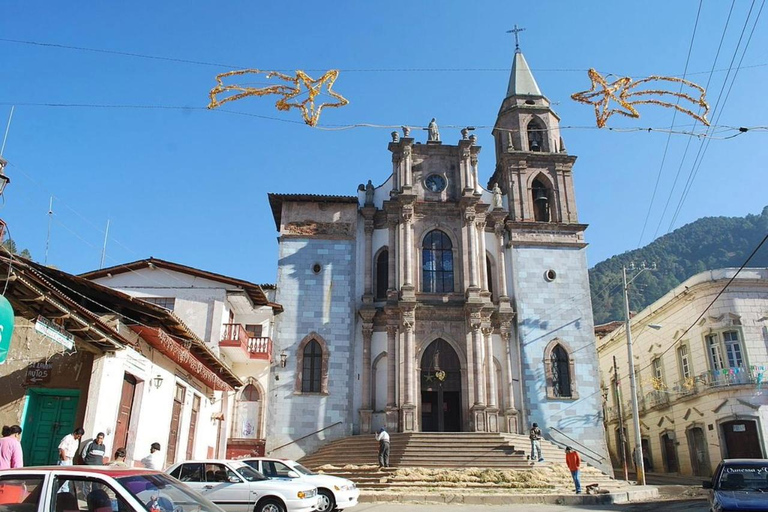 Tour das borboletas-monarca no México: Serra Chincua e AngangueoPrivado