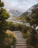 Queenstown, Mount Cook Premium Guided Day Tour - Housity