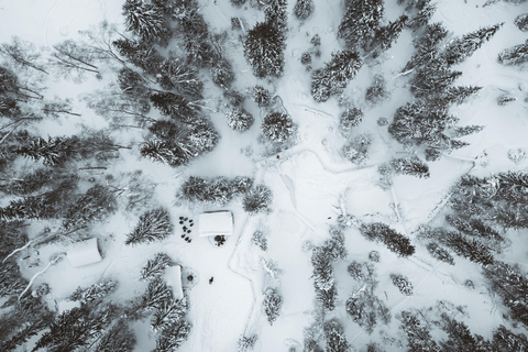 En famille : Circuit des cascades gelées au départ de Rovaniemi