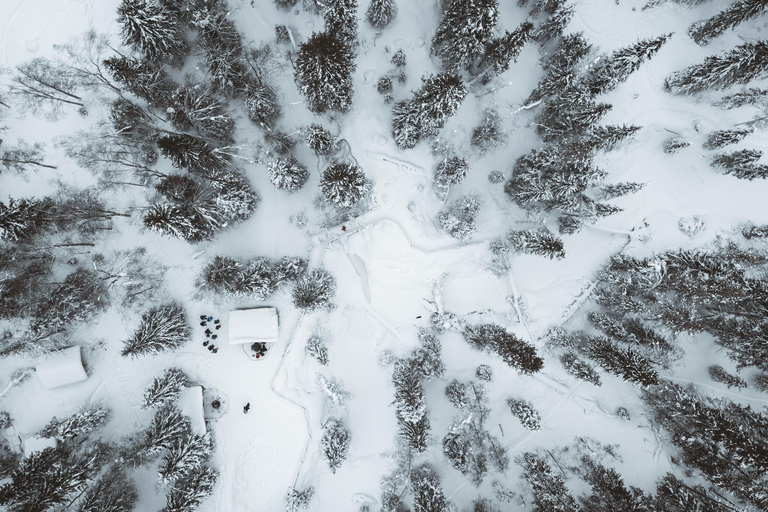 En famille : Circuit des cascades gelées au départ de Rovaniemi